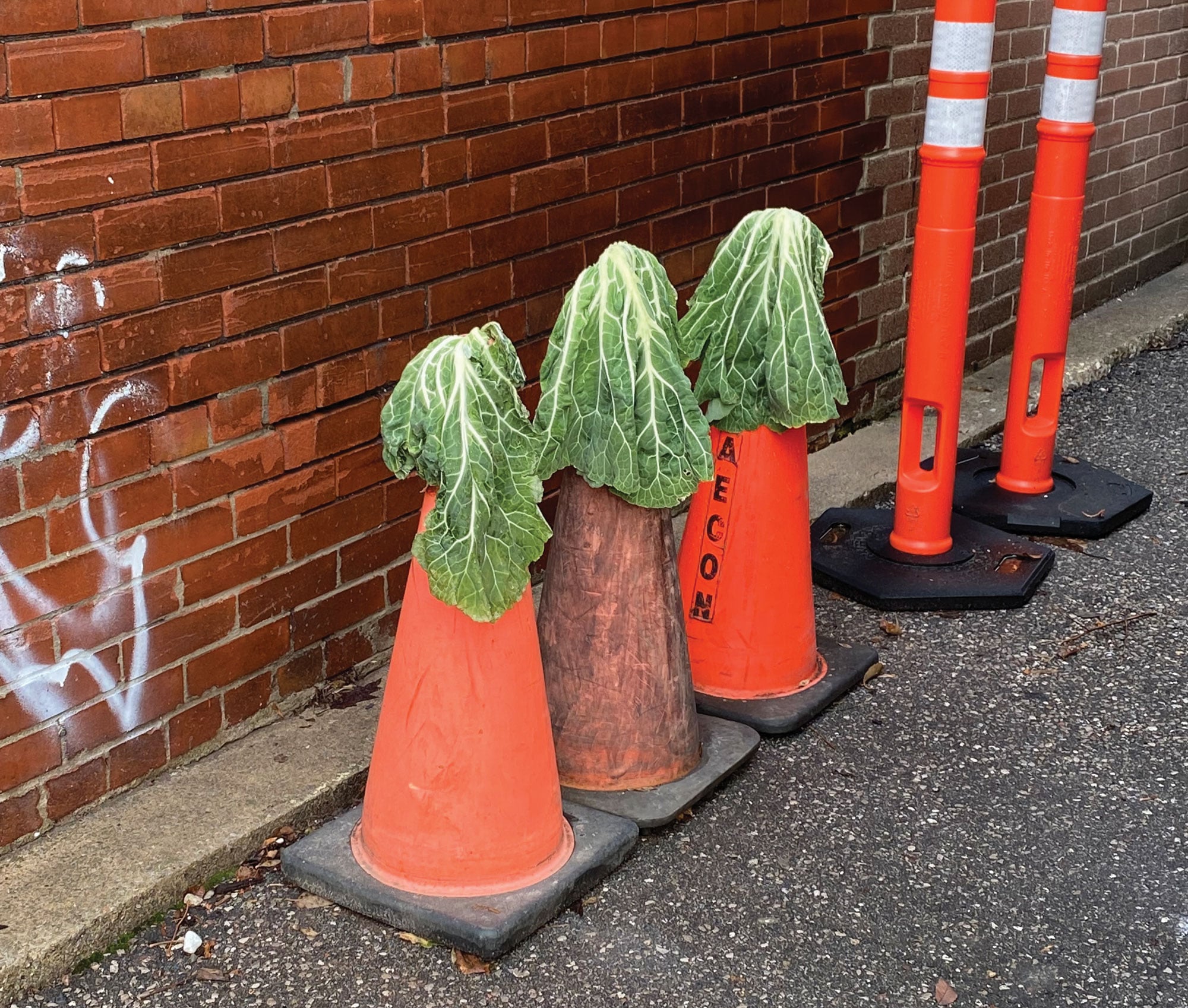 Depths of Wikipedia is bringing a live show on the encyclopedia’s weirdest entries to Toronto