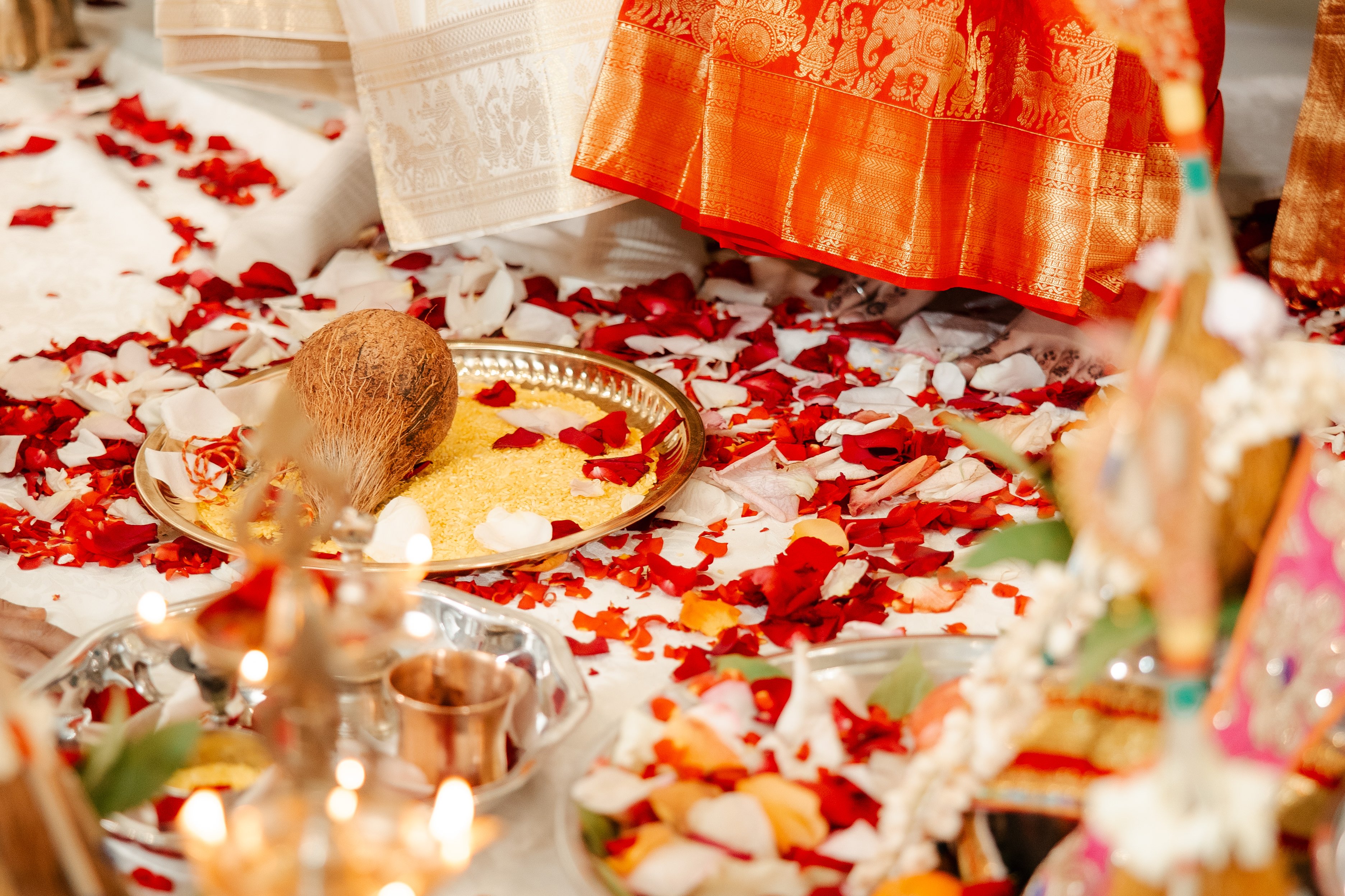 Rose petals on the ground