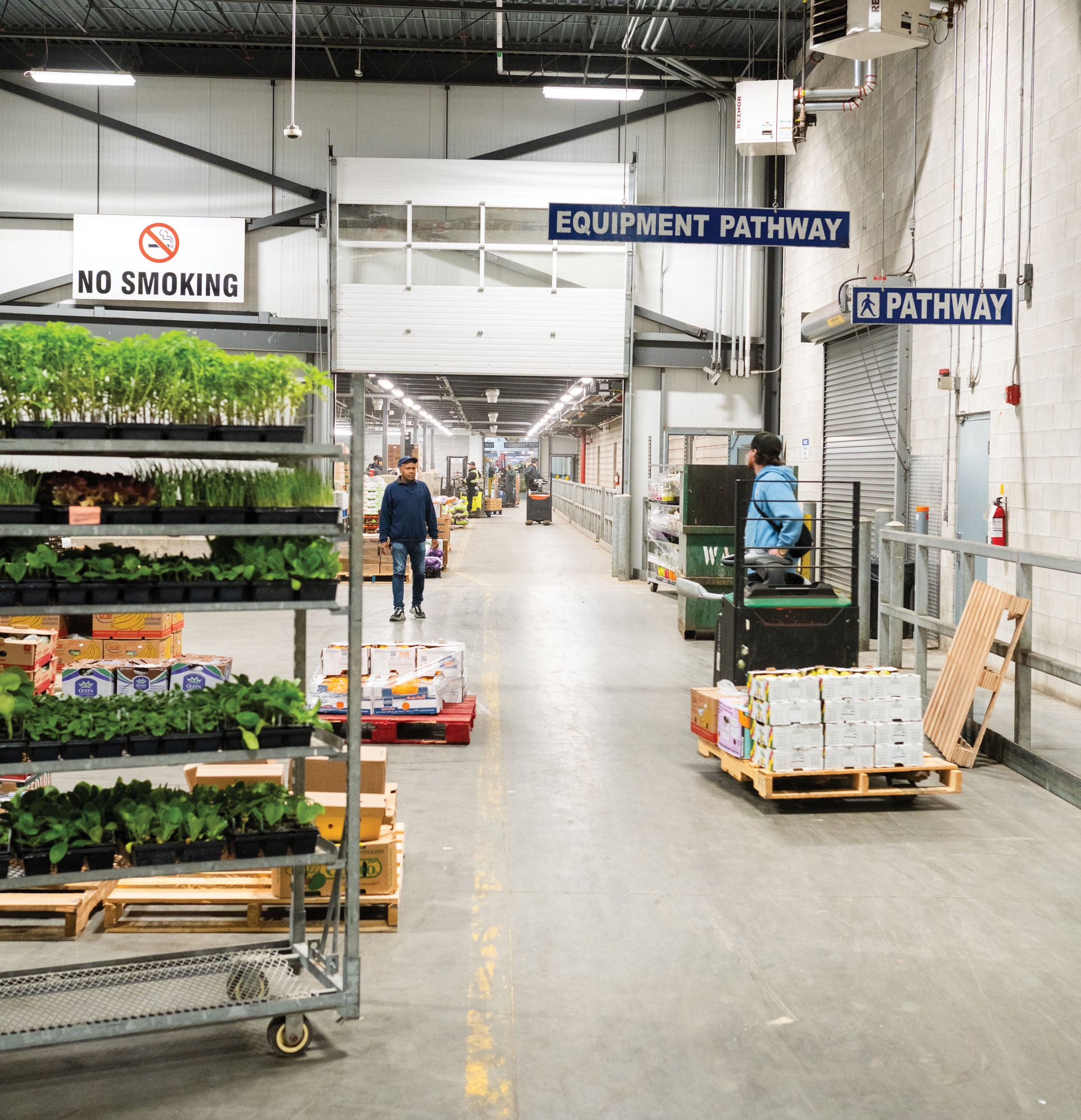 Toronto will soon be the launch pad for Canada’s public grocery experiment