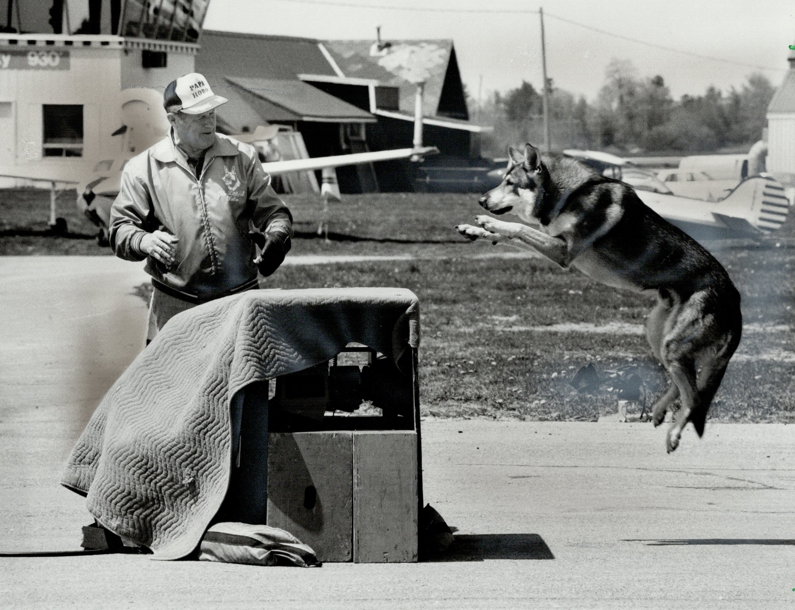 Seth Rogen is rebooting The Littlest Hobo